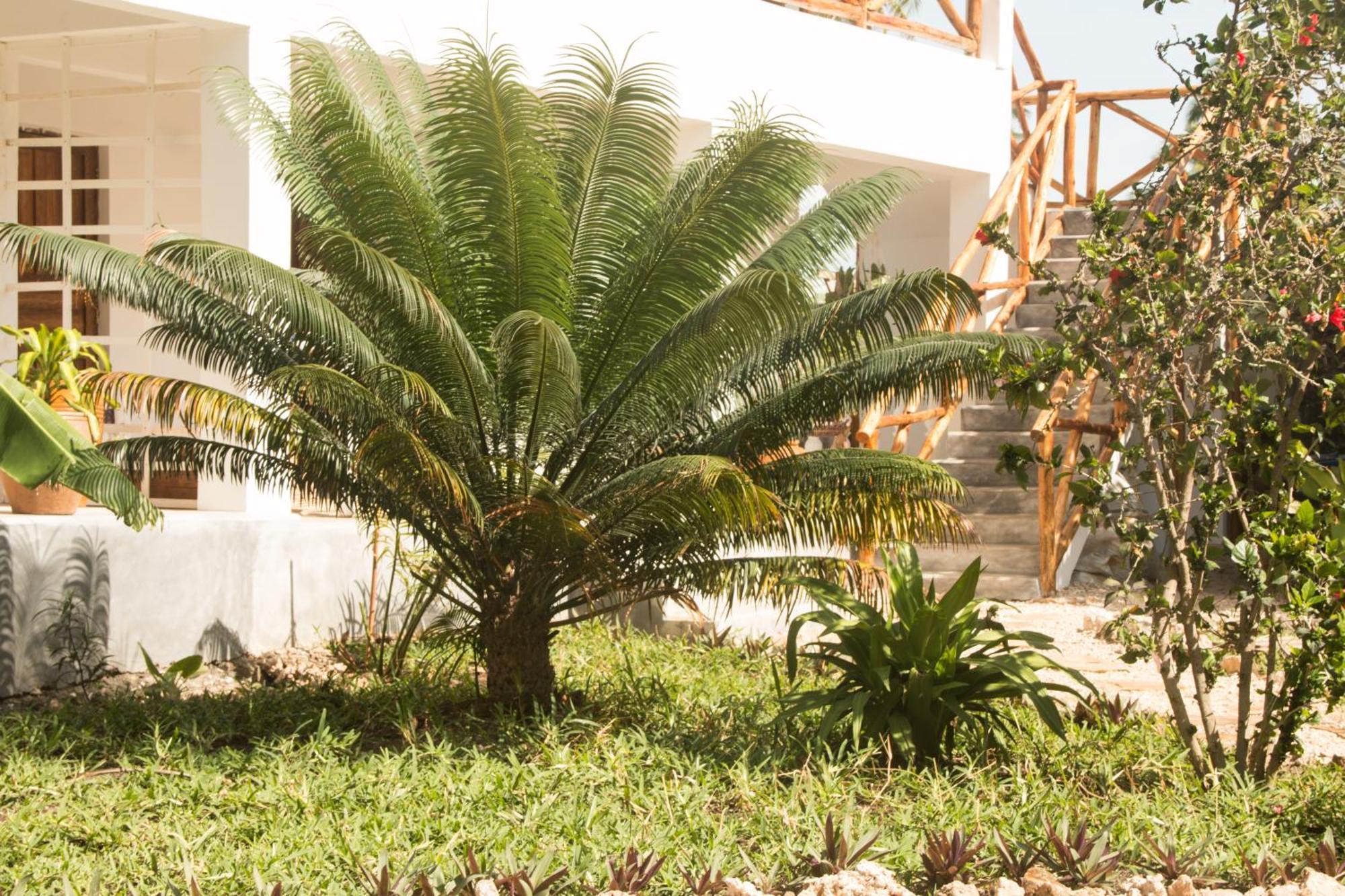 Villa Kiota Paje Exterior foto